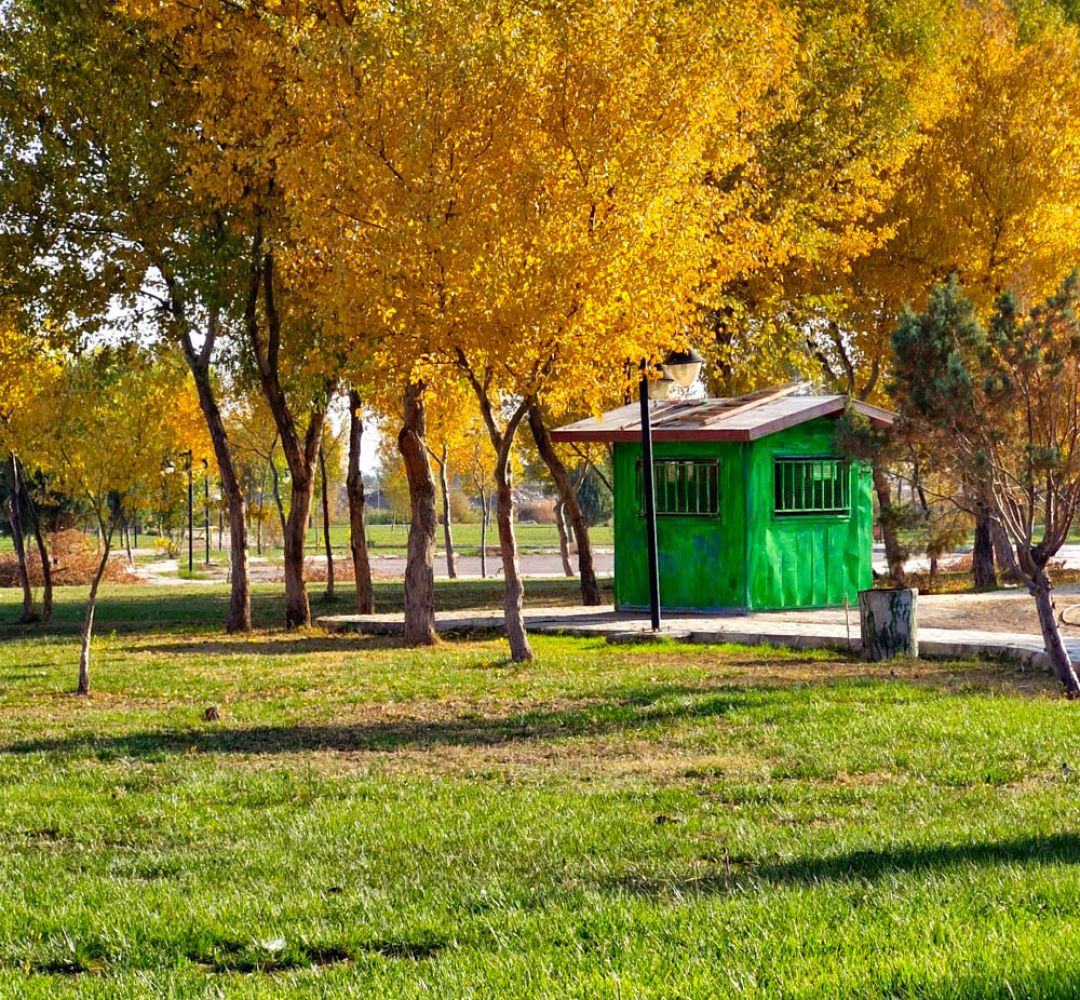 خودنمایی پاییز رنگارنگ در سرخس