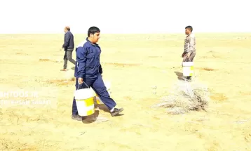 کاشت ۳۰ هزار نهال تاغ در سرخس