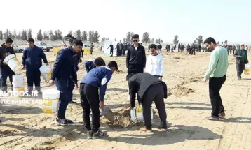 کاشت ۳۰ هزار نهال تاغ در سرخس