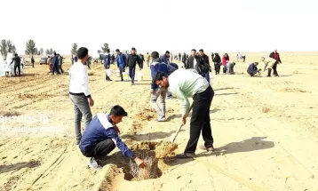 کاشت ۳۰ هزار نهال تاغ در سرخس