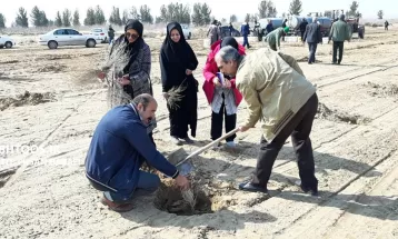 کاشت ۳۰ هزار نهال تاغ در سرخس