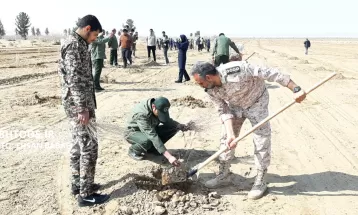 کاشت ۳۰ هزار نهال تاغ در سرخس