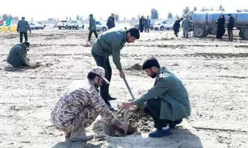 کاشت ۳۰ هزار نهال تاغ در سرخس