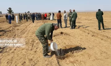 کاشت ۳۰ هزار نهال تاغ در سرخس