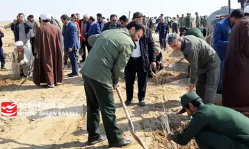 کاشت ۳۰ هزار نهال تاغ در سرخس