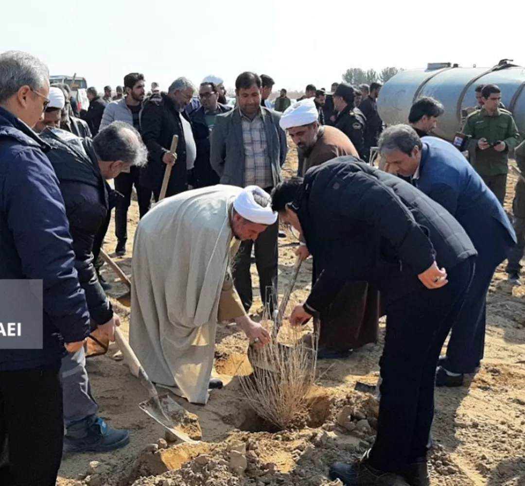 کاشت ۳۰ هزار نهال تاغ در سرخس