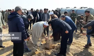 کاشت ۳۰ هزار نهال تاغ در سرخس