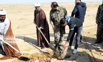 کاشت ۳۰ هزار نهال تاغ در سرخس