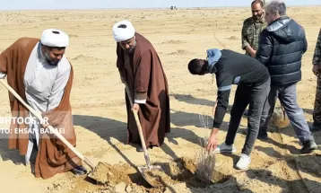 کاشت ۳۰ هزار نهال تاغ در سرخس