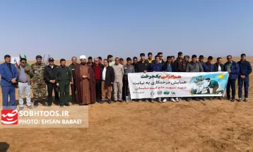 کاشت ۳۰ هزار نهال تاغ در سرخس