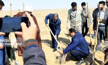 کاشت ۳۰ هزار نهال تاغ در سرخس