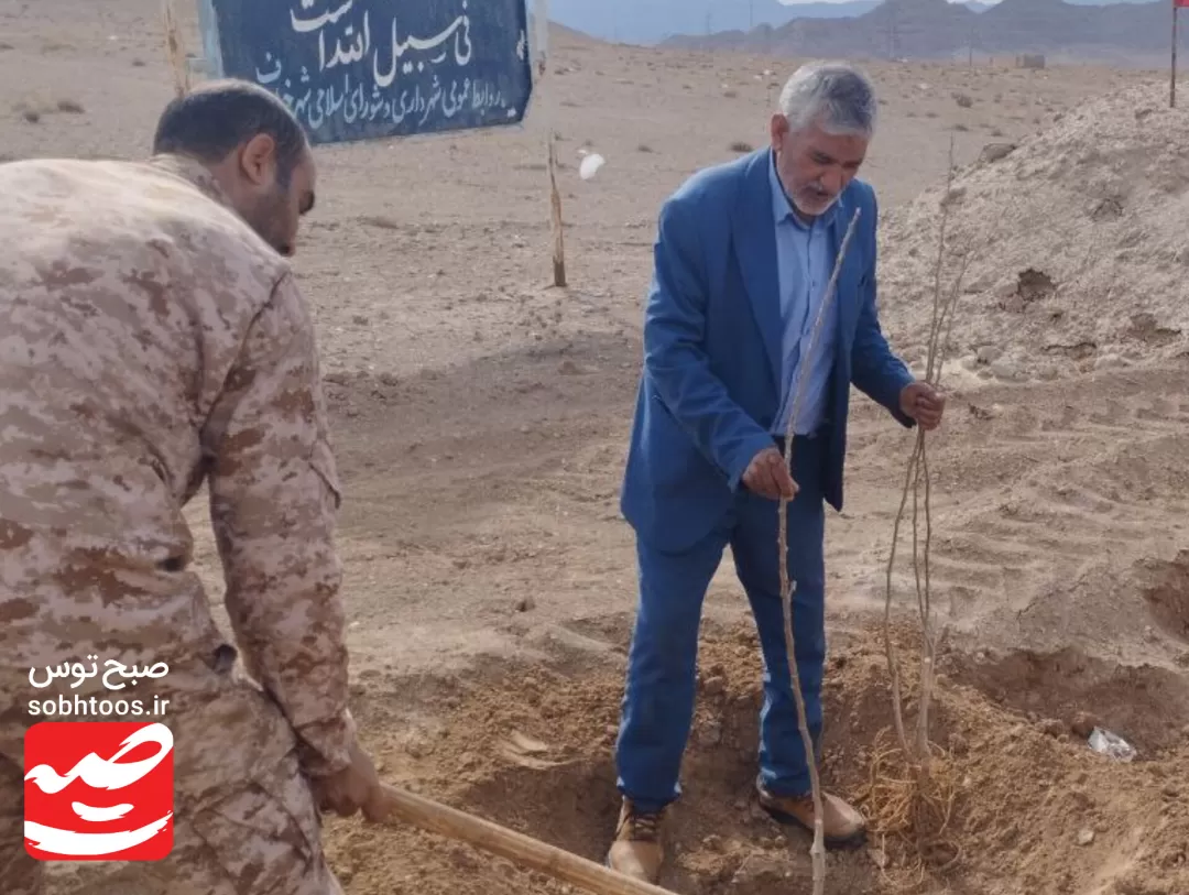 نهال‌کاری مسیر گلزار شهدای گمنام خواف