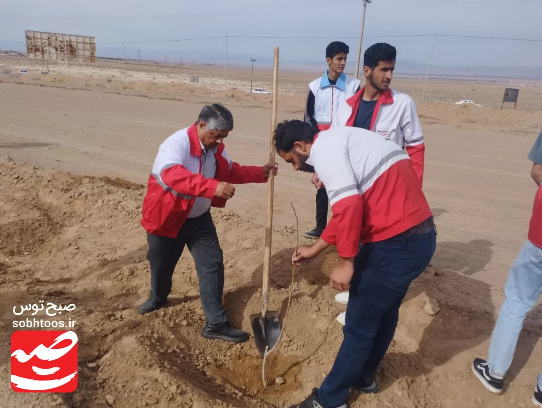نهال‌کاری مسیر گلزار شهدای گمنام خواف