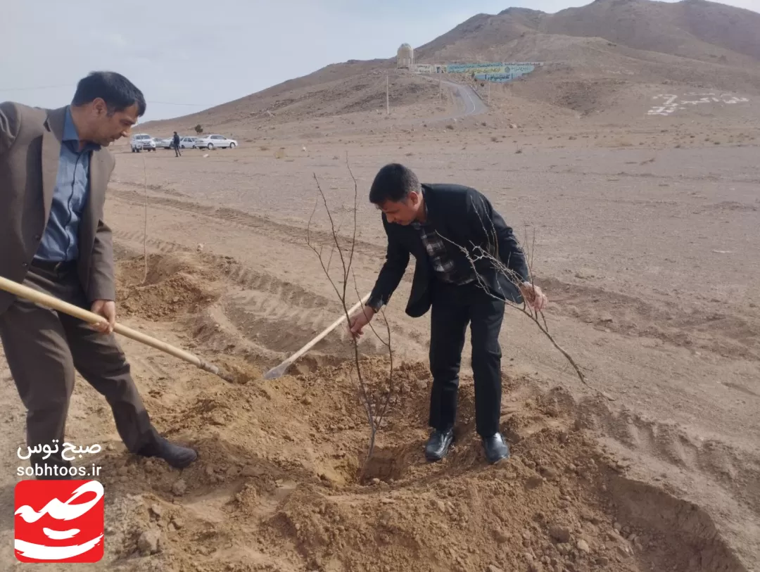 نهال‌کاری مسیر گلزار شهدای گمنام خواف