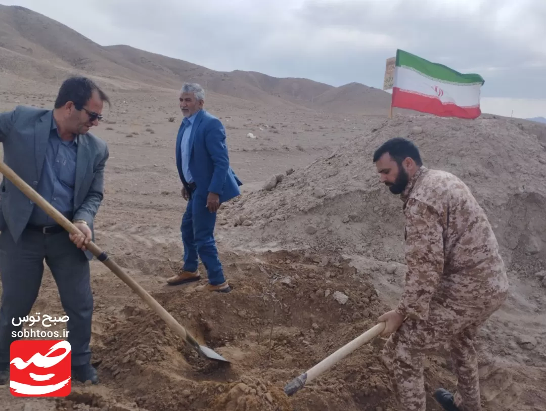 نهال‌کاری مسیر گلزار شهدای گمنام خواف