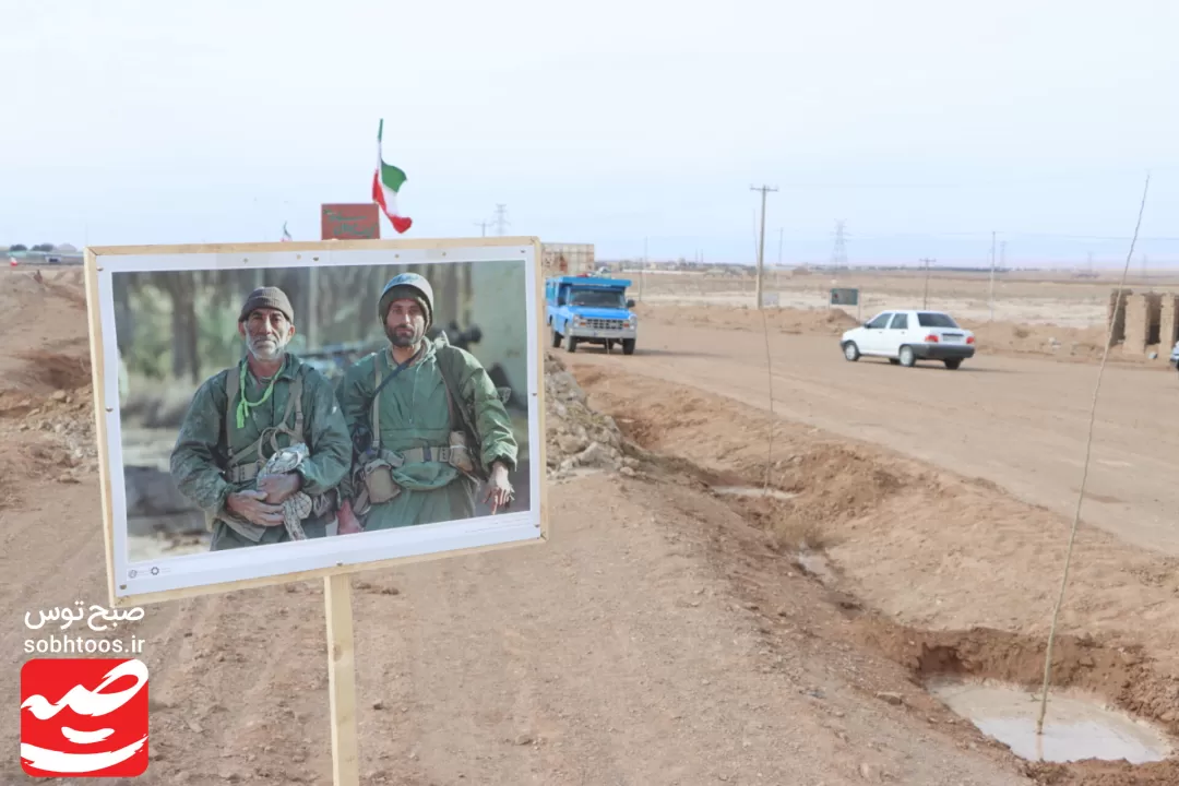 نهال‌کاری مسیر گلزار شهدای گمنام خواف