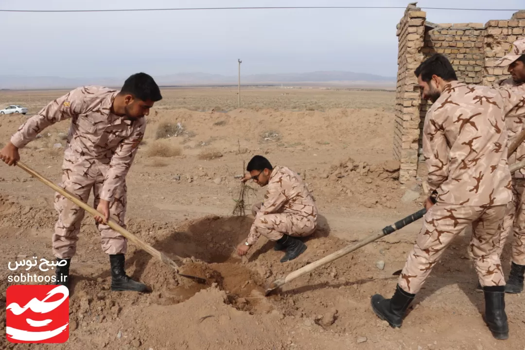 نهال‌کاری مسیر گلزار شهدای گمنام خواف