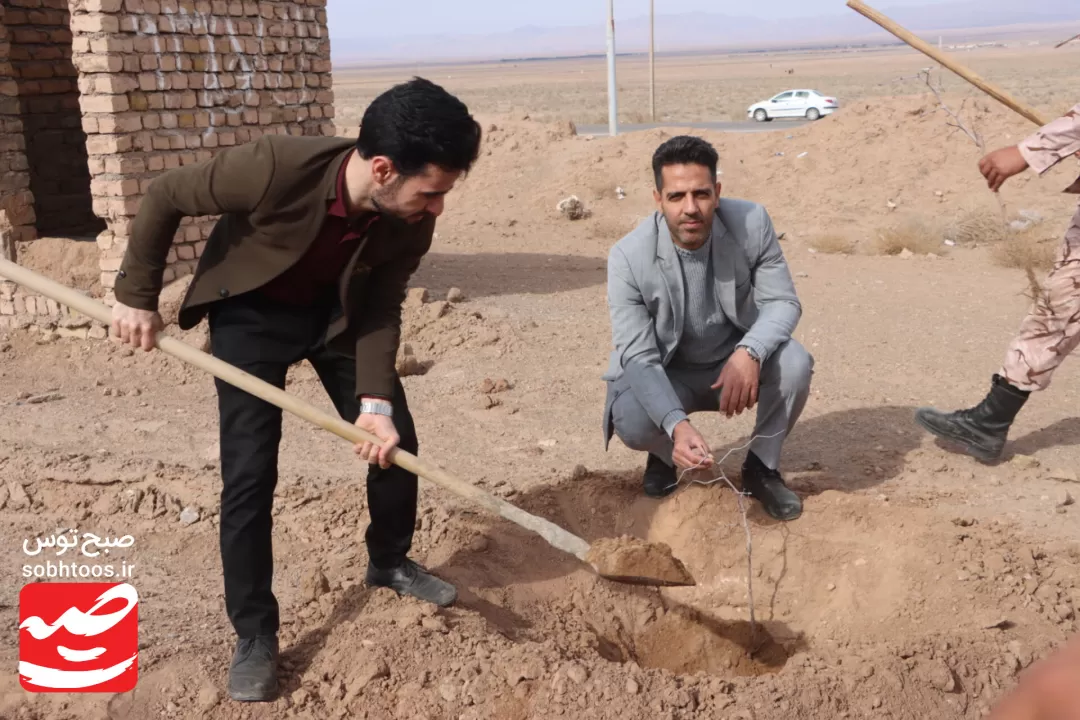 نهال‌کاری مسیر گلزار شهدای گمنام خواف