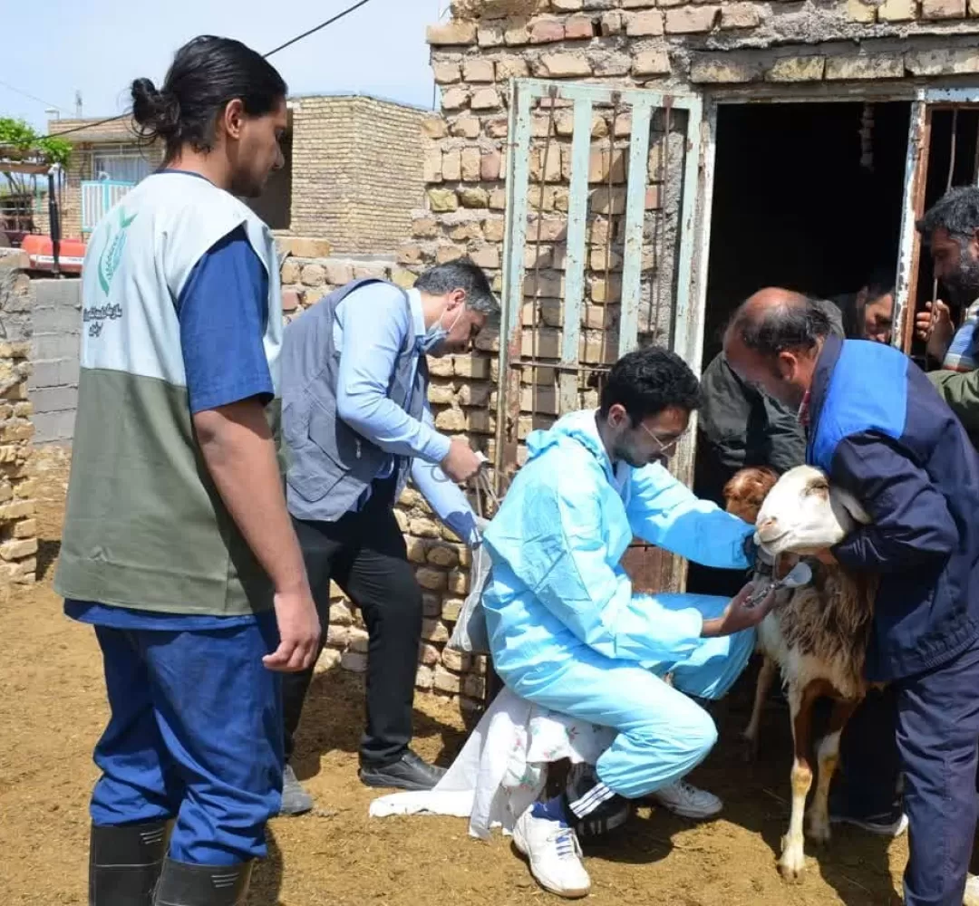 برگزاری اردوی جهادی دامپزشکی در کاشمر