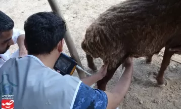 برگزاری اردوی جهادی دامپزشکی در کاشمر