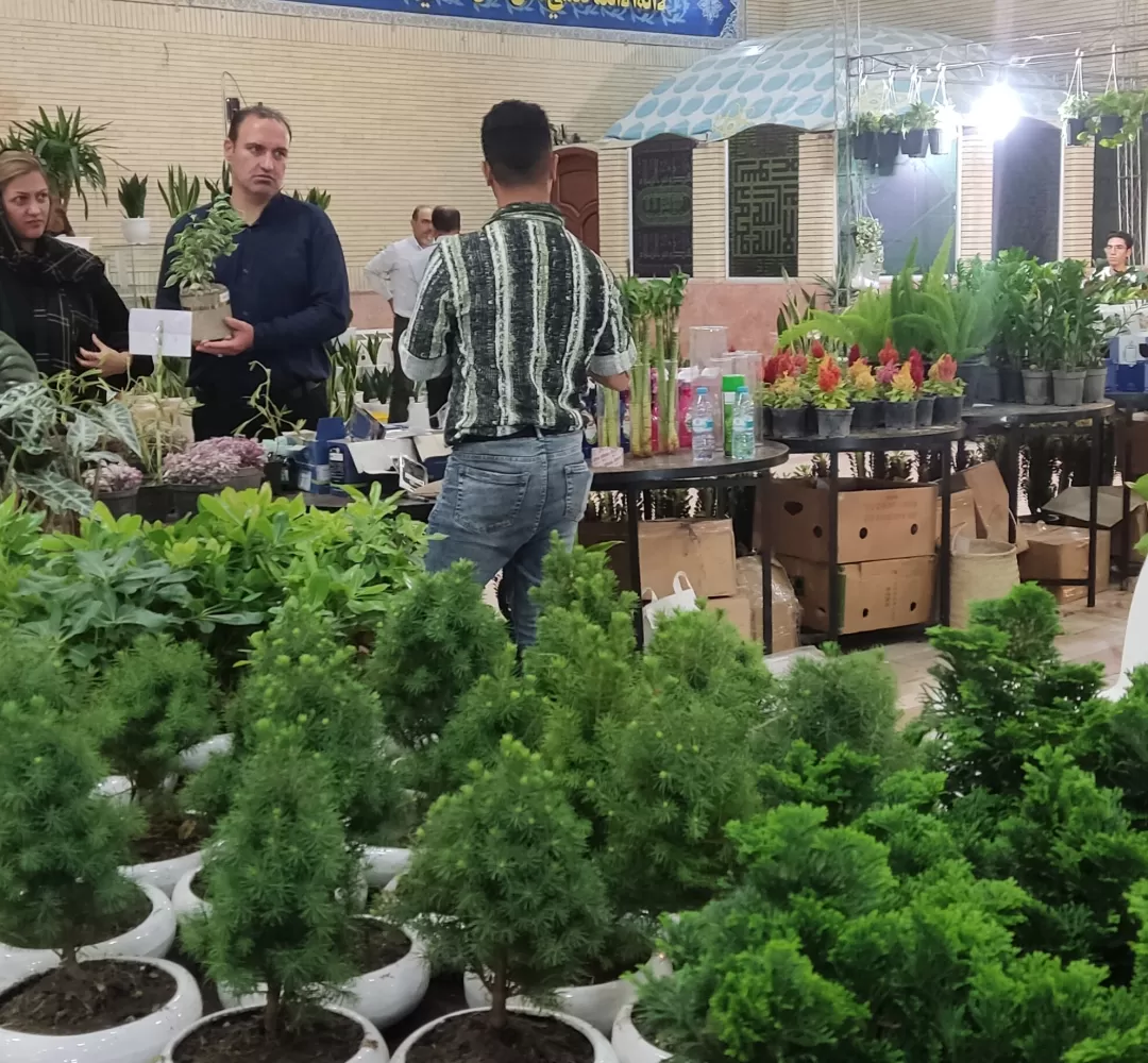لحظاتی از کافه گفتگو در جمعه بازار تربت‌حیدریه