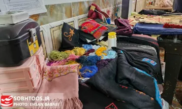 بازدید مسئولان از طرح‌های موفق بسیج سازندگی در سرخس