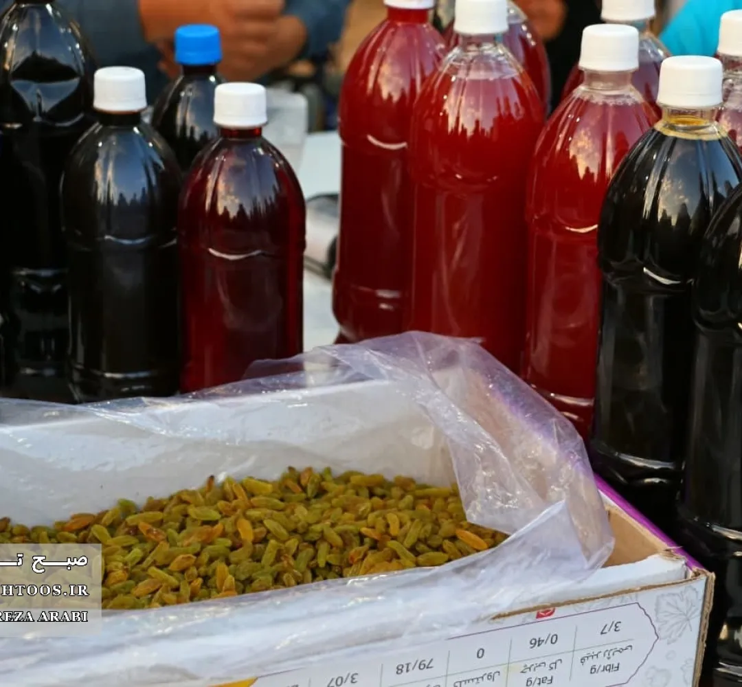 دومین جشنواره شیرهپزی کاشمر برگزار شد