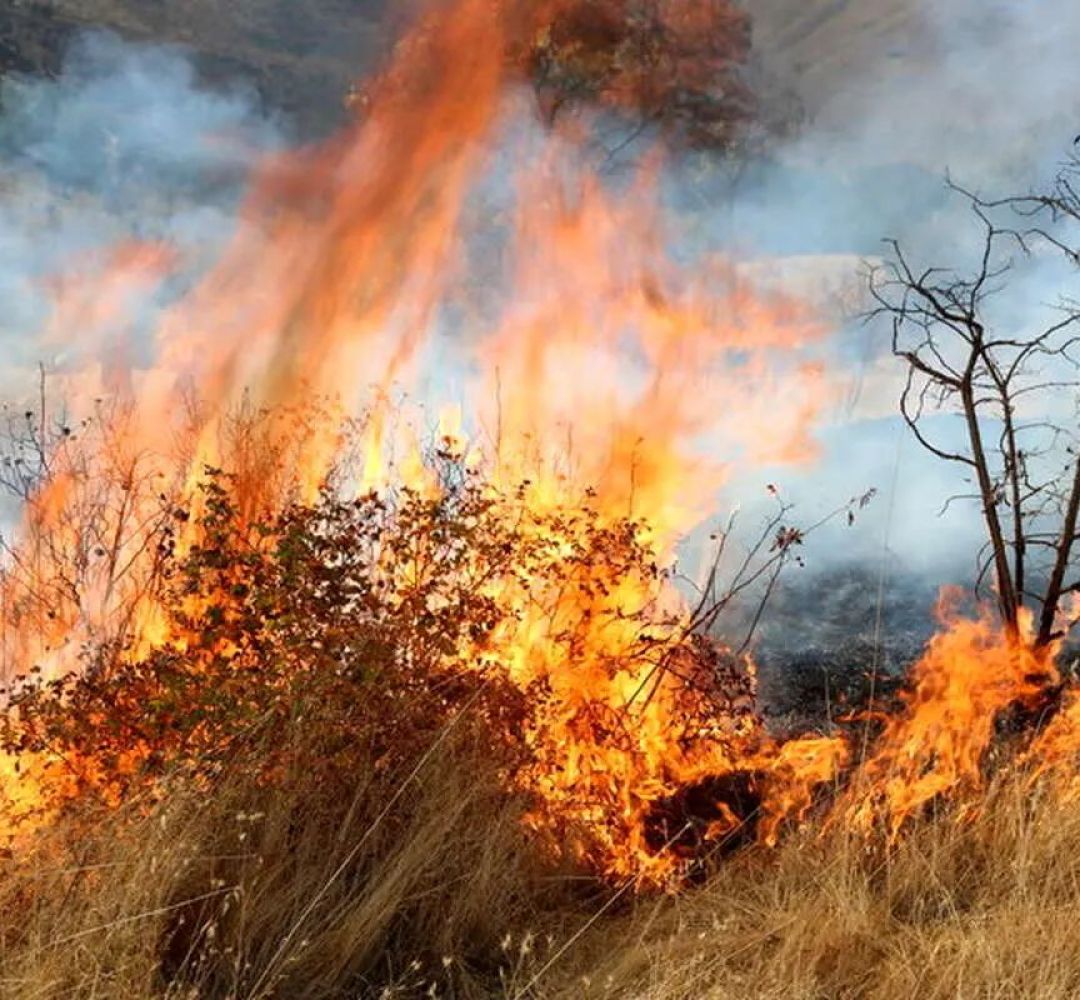 افزایش ۱۰۰ درصدی آتشسوزی در عرصههای طبیعی خراسانرضوی