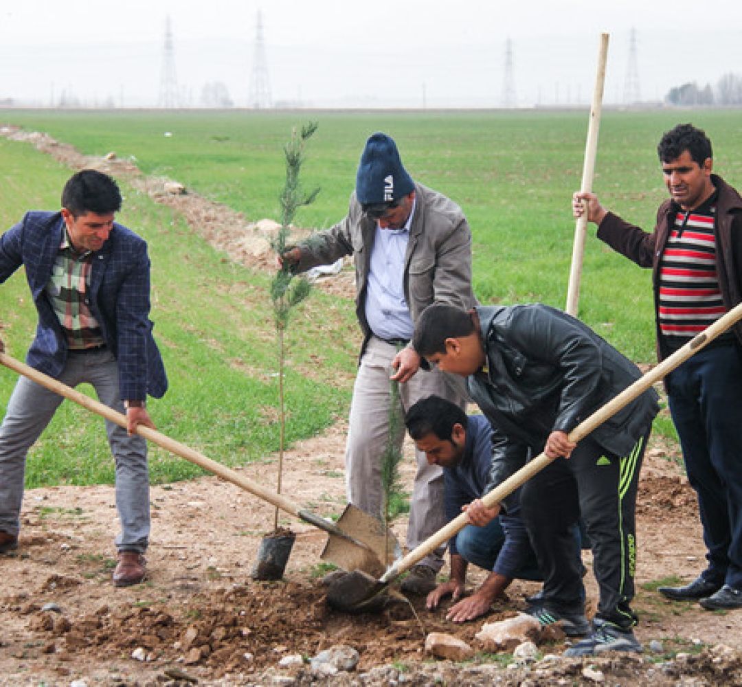 اجرای موفق طرح کمربند سبز در نیشابور