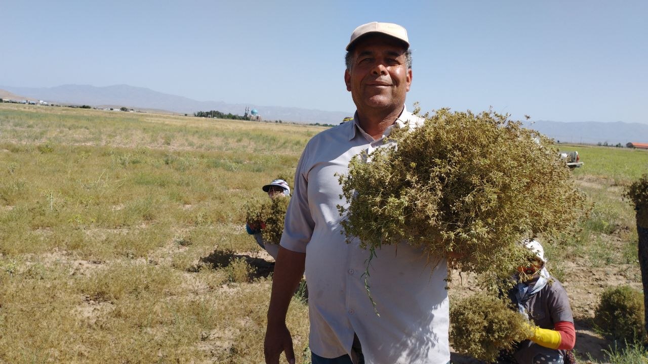 نسخه کم‌آب کشاورزان زاوه برای عبور از خشکسالی