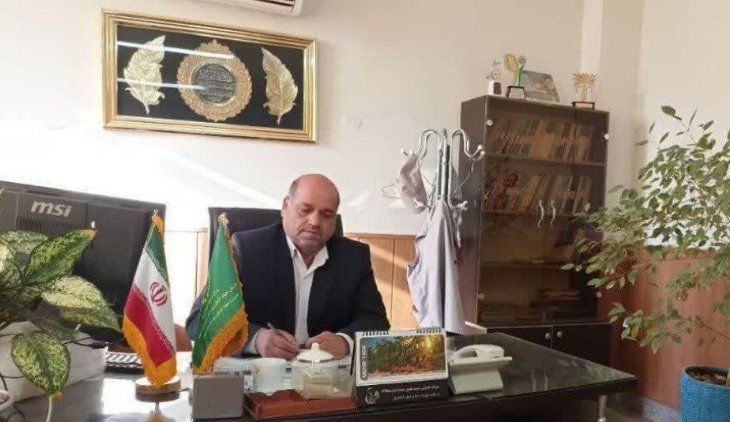 خرید تضمینی گندم امسال بالاتر از بازار آزاد