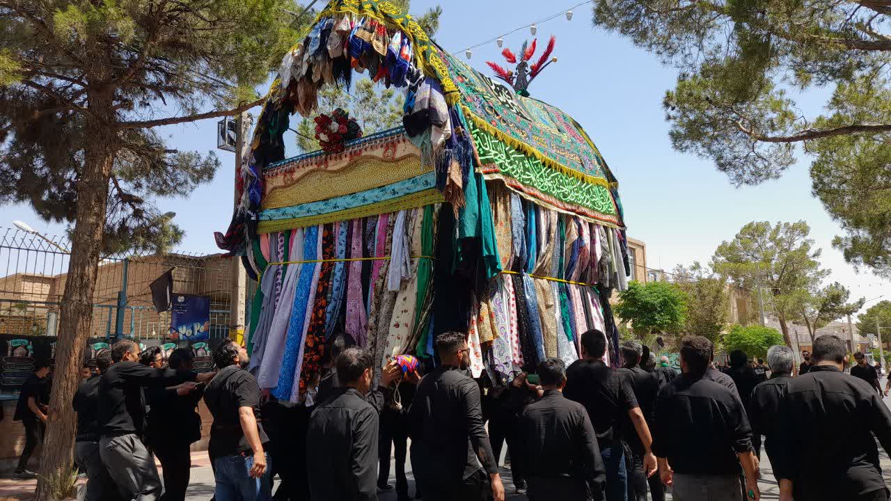 نخل ۹۰ ساله بجستان؛ روایتگر عشق حسینی