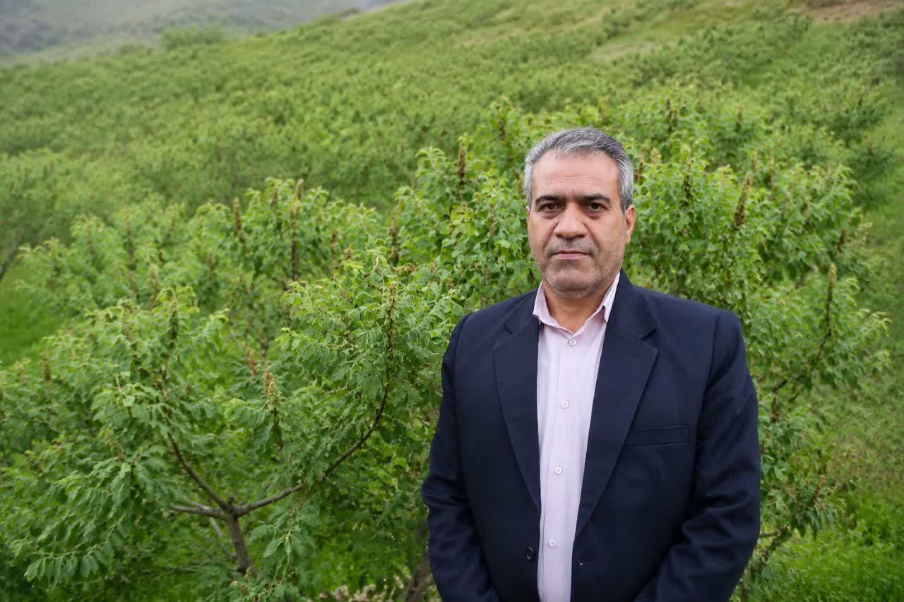 برداشت ۴۷۲ تن سماق در گناباد آغاز شد
