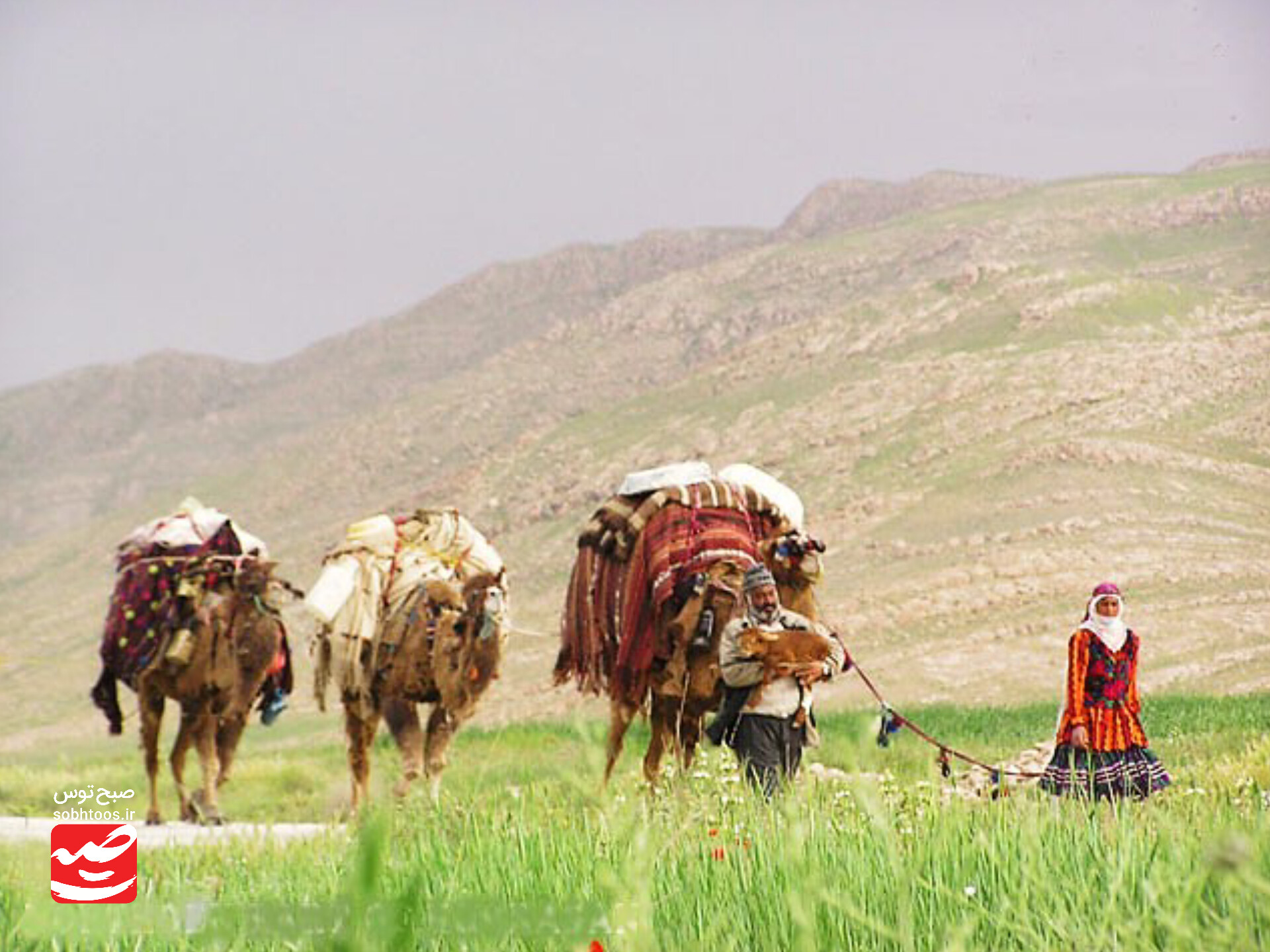 کوچ پاییزه ۳۰۰ خانوار عشایری قوچان به مراوه‌تپه