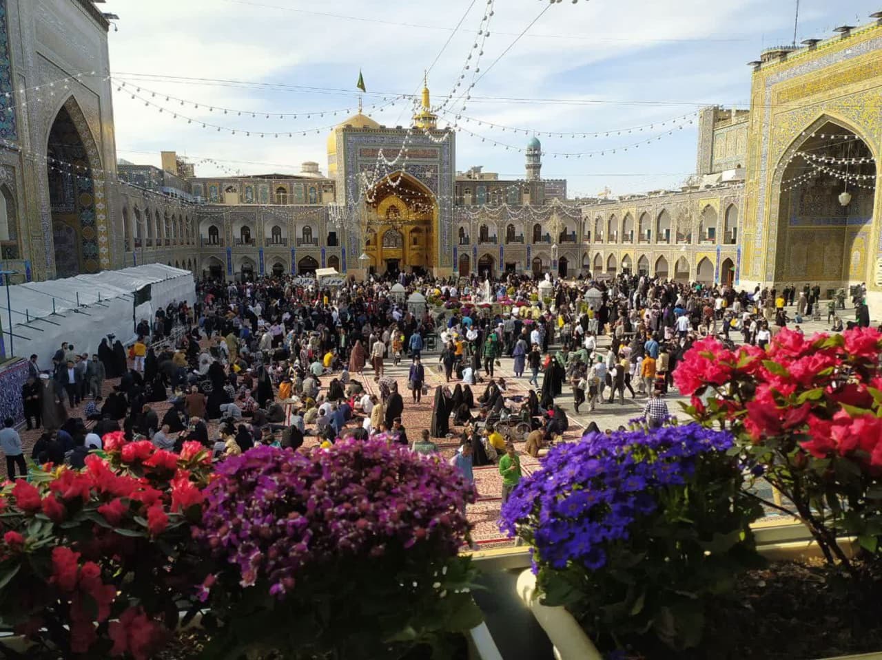 مشهد دور علی می‌گردد