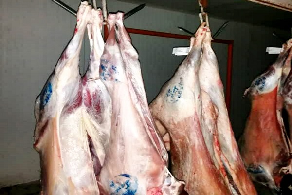آمادگی شبکه دامپزشکی سرخس برای ایام عاشورای حسینی