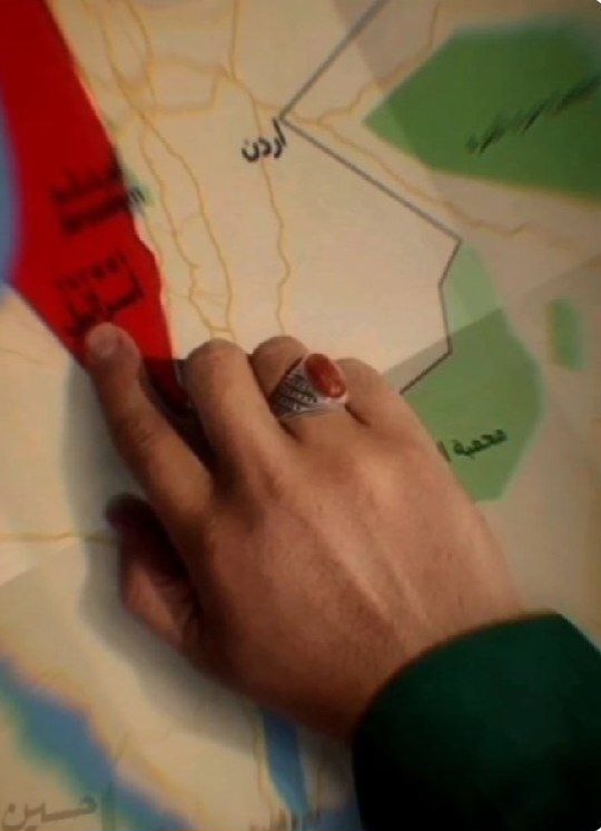 اسب بازنده