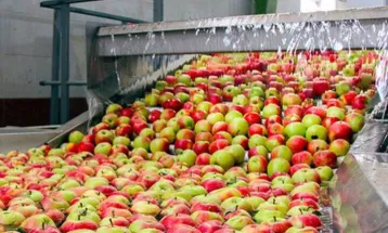 ایجاد صنایع تبدیلی در اساس نیاز شهرستان‌های استان