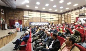 هنرمندان با هنر خود صدای مظلومان فلسطین باشند