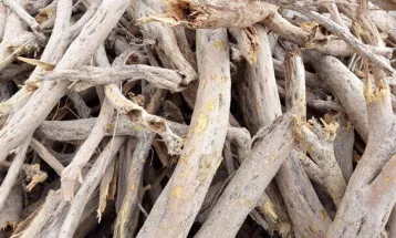 کشف و ضبط 150 کیلو چوب تاغ در نیشابور