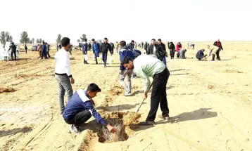 کاشت ۳۰ هزار اصله نهال تاغ در سرخس
