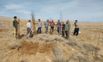 غرس 12 هزار نهال در روستای «زیگ» نیشابور