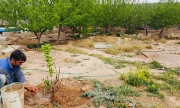 شناسایی انشعاب غیرمجاز ۷ باغ در خواف