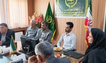 افزایش ۴۰ درصدی جوجه‌ریزی در نیشابور