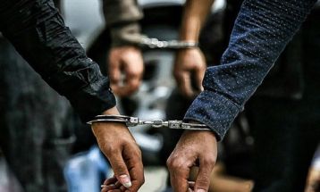 رمزگشایی از ۱۴ فقره سرقت قطعات خودرو در تربت‌جام
