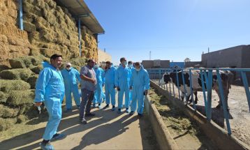 واکسیناسیون کلید پیشگیری از تب برفکی است
