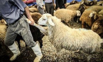 ذبح دام فقط در کشتارگاه مجاز است