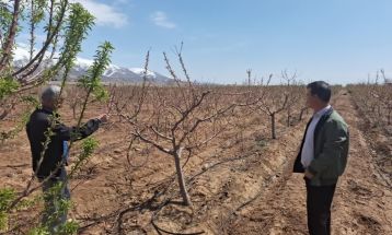 خسارت ۳۰ میلیارد تومانی سرمازدگی به باغات نیشابور