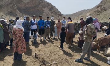 شناسایی یک مورد مشکوک به بیماری شاربن