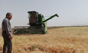 آغاز برداشت جو از مزارع گناباد